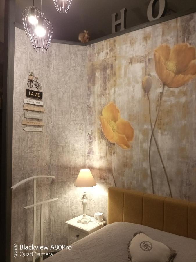 Studio Malou, Cuisine, Salle D'Eau, Terrasse Amenagee Olliergues Zewnętrze zdjęcie
