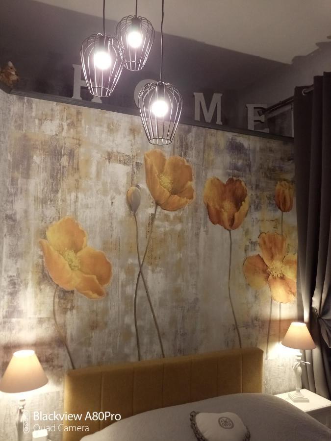 Studio Malou, Cuisine, Salle D'Eau, Terrasse Amenagee Olliergues Zewnętrze zdjęcie